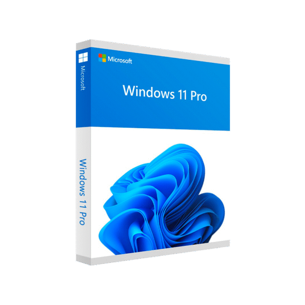 Windows 11 Professional 64 bit - Microsoft License